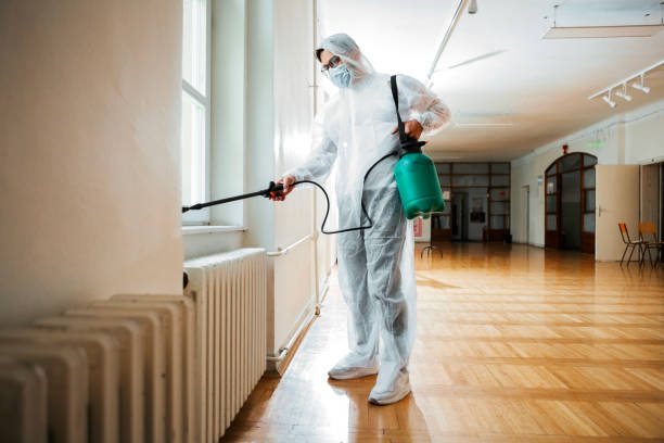 Best Real Estate Pest Inspections  in North York, PA